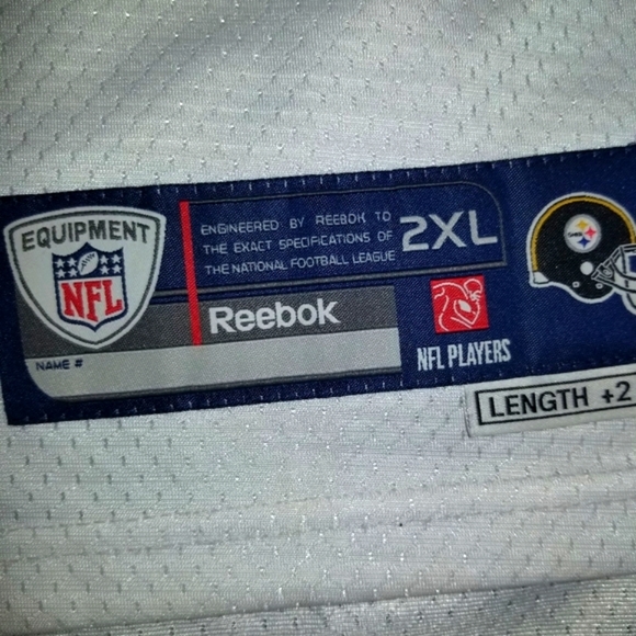 Polamalu NFL Jersey - Picture 3 of 4